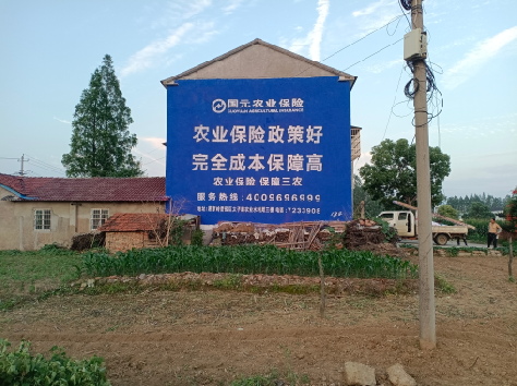 环江墙体广告的优劣势你知道吗？